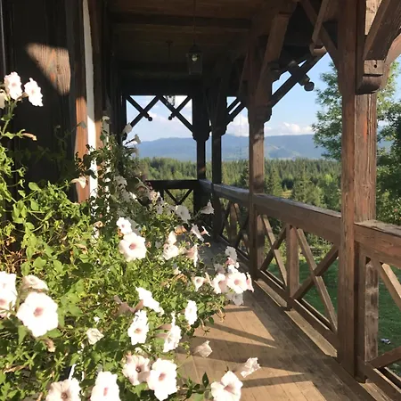 Blyzhche Neba * Яблоница