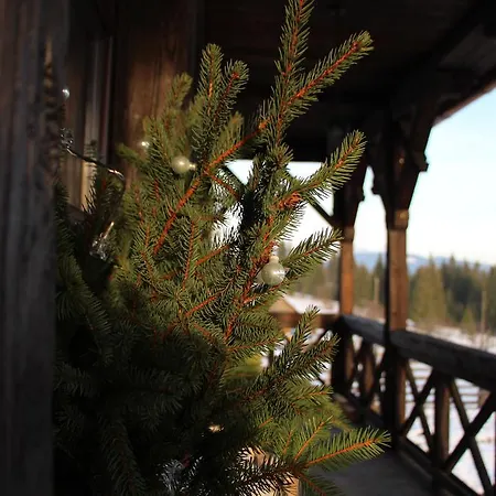 Blyzhche Neba Country house *