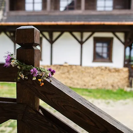 Country house Blyzhche Neba *