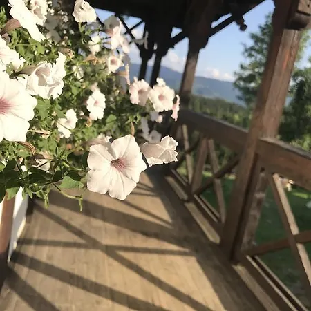 Country house Blyzhche Neba *