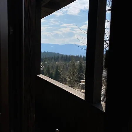 Country house Blyzhche Neba Yablunytsya